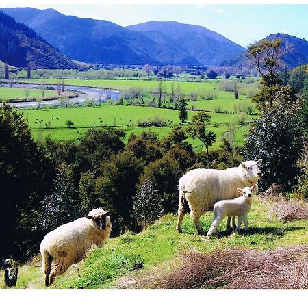 Appartamento Pelorus Heights Havelock Esterno foto